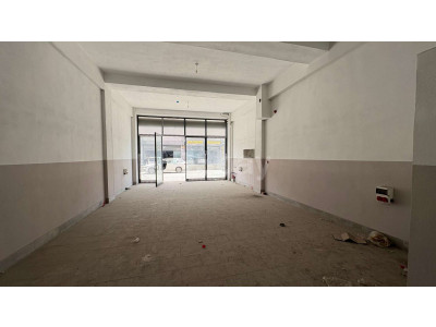 WhatsApp Image 2025-05-12 at 16.23.59.jpeg